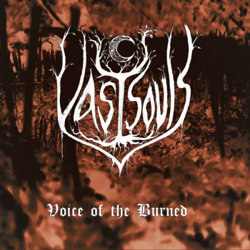Vast Souls : Voice of the Burned
